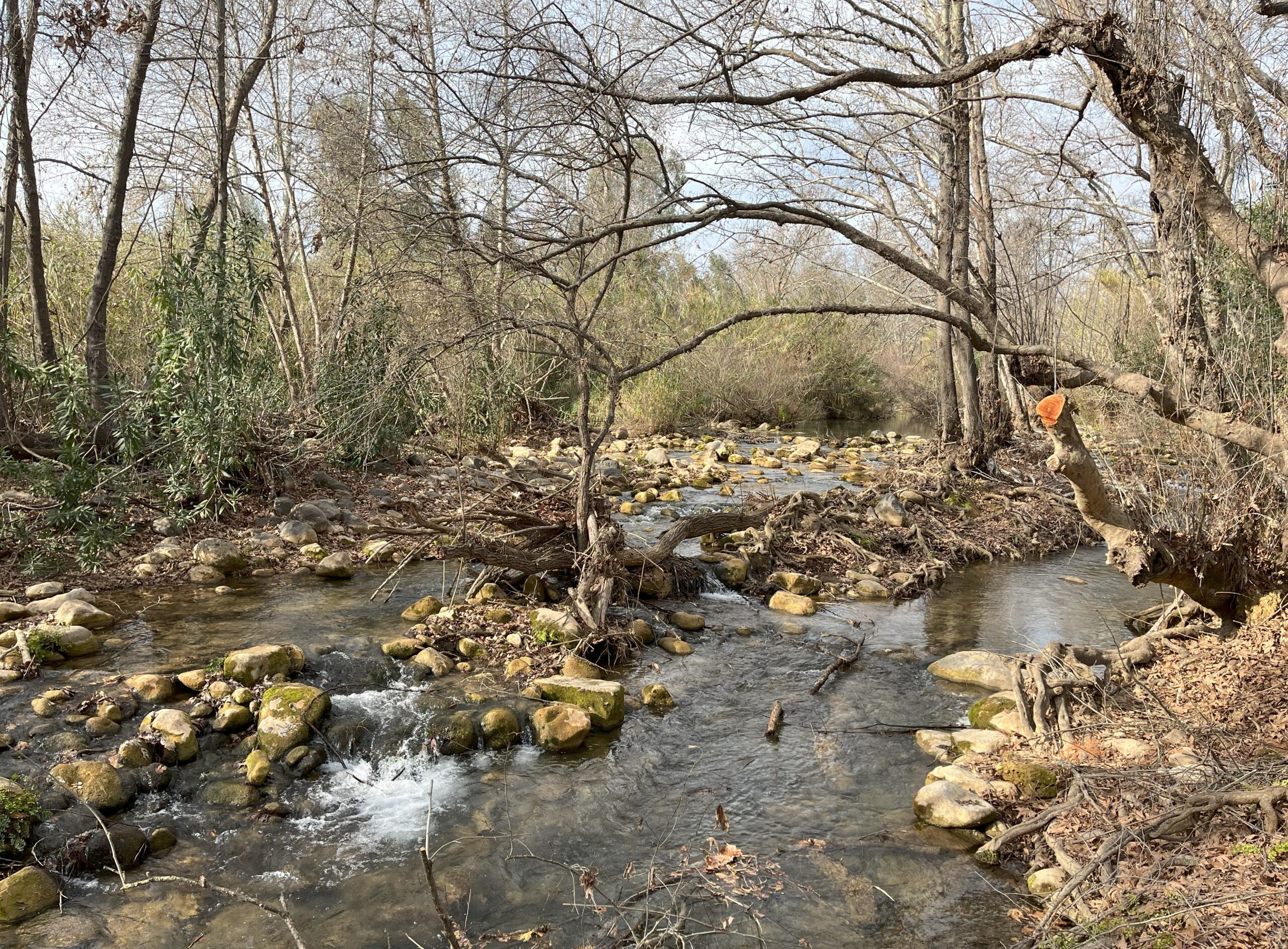 winter north of Israel